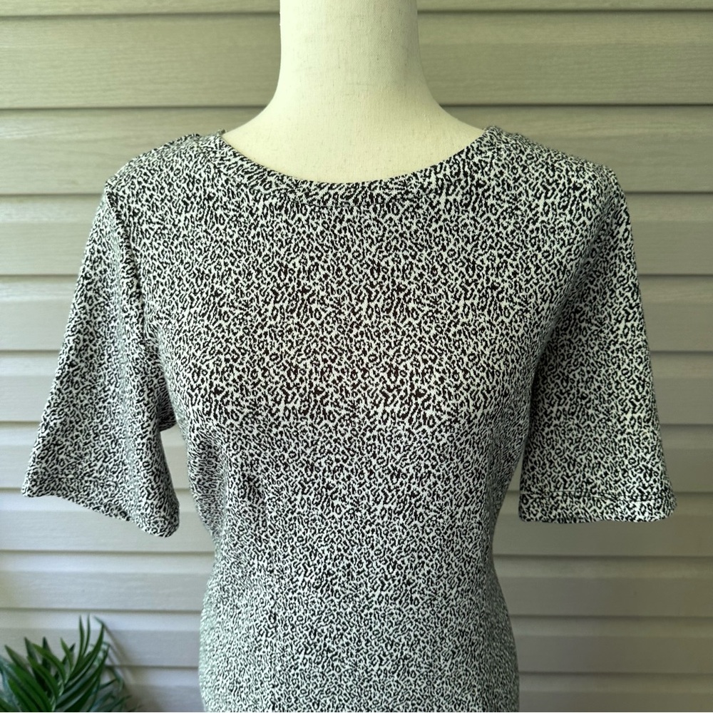 Loft Black/White Short Sleeve Sheath Dress Size 10